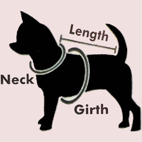 NWOT Pink "Diva" or "VIP" Very Important Pooch T-Shirt Small Animal Size X-Small - Picture 3 of 4